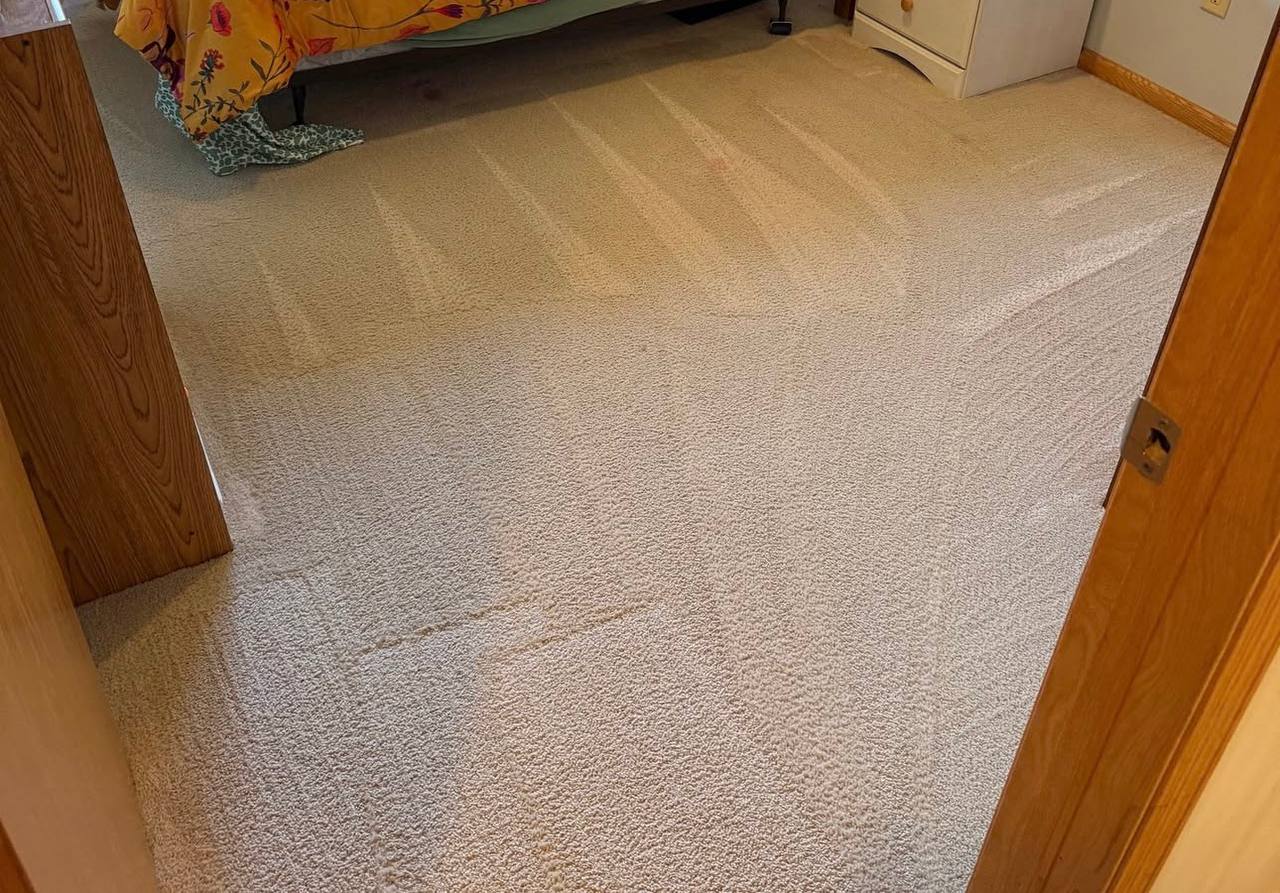 Clean carpet after professional cleaning