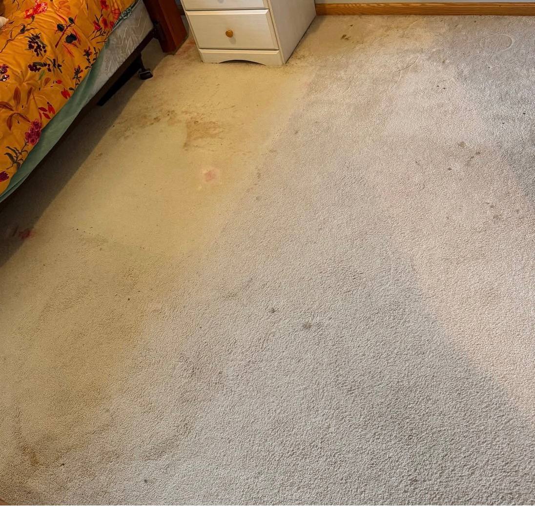 Carpet before cleaning, stained
